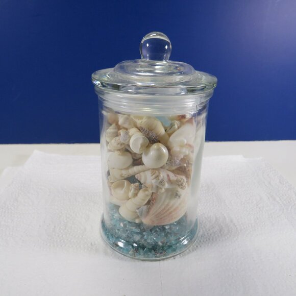 REAL sea shells in a New Glass Jar w seal & lid 5.75" tall (1+ pounds) - Picture 3 of 14